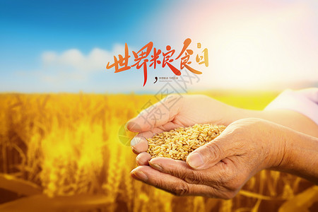 谷物枣世界粮食日设计图片