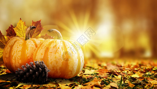 葫芦形秋天背景设计图片