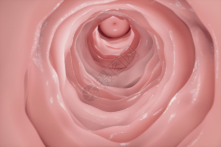 外膜三维人体内阴背景设计图片