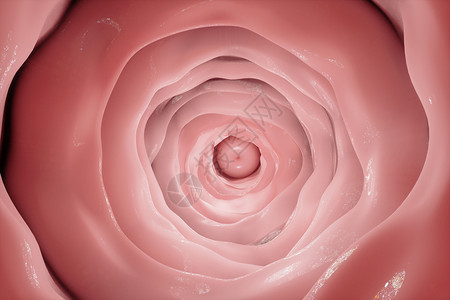 外膜三维女性内阴背景设计图片