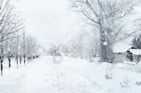 冬天雪景gif动图图片
