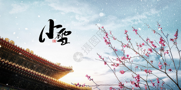 中国古建筑海报小雪海报设计图片