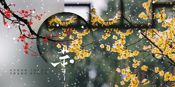 4k大寒冬季红梅花小雪海报设计图片