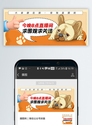 微信营销关注微信宠物直播求关注公众号封面配图模板