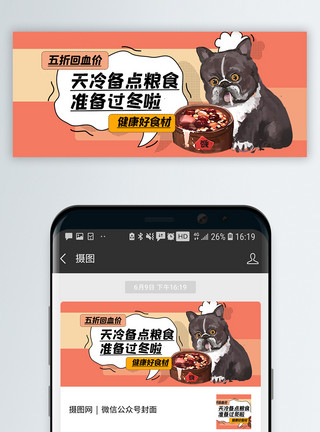 红鼻子的猫宠物粮食大促公众号封面配图模板