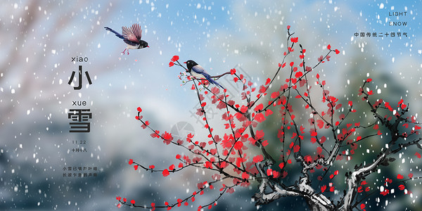 小鸟和梅花小雪海报设计图片
