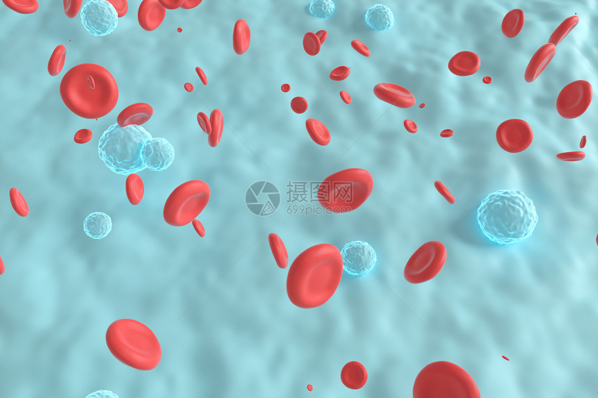 三维血液白细胞场景图片