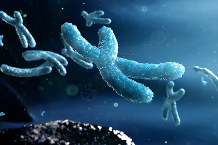 三维染色体微观场景图片
