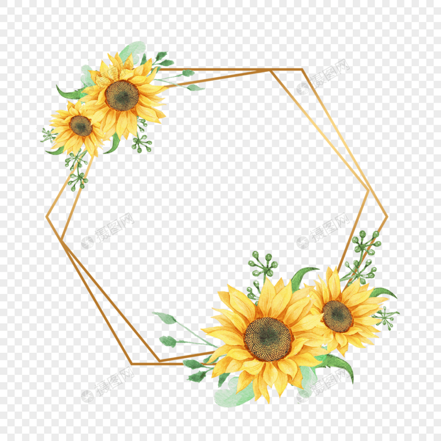黄色向日葵六边形金色花卉边框图片
