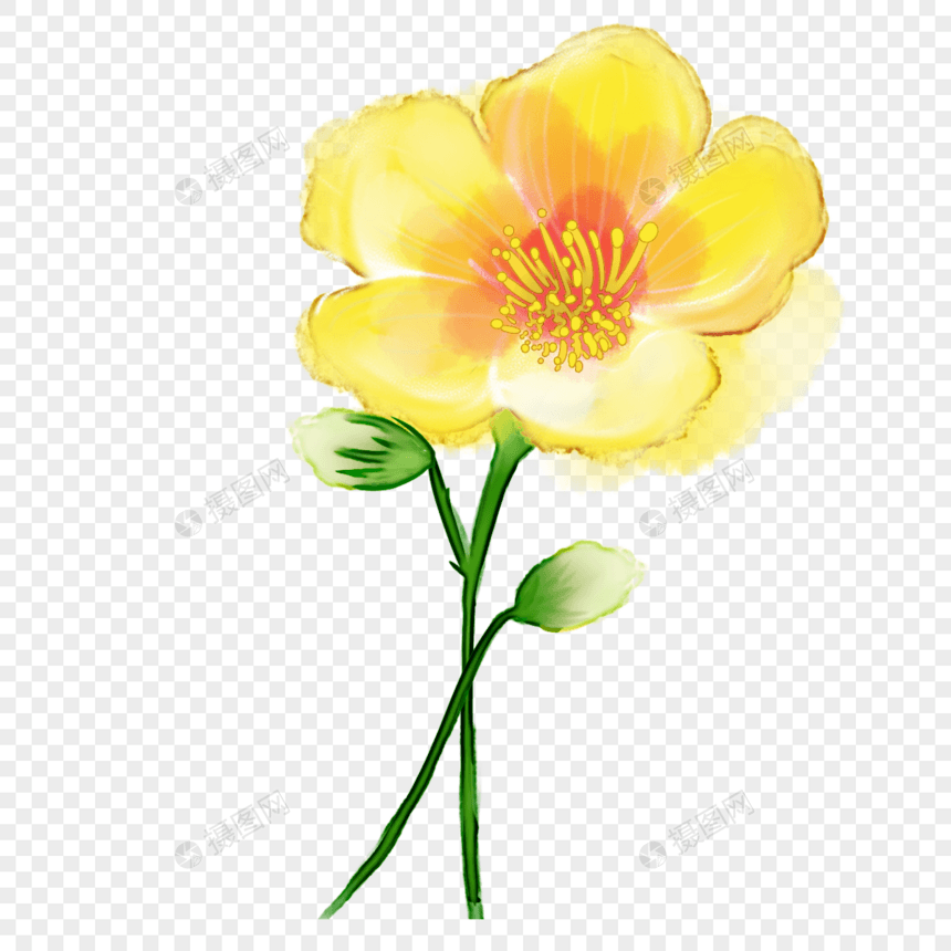 黄色明艳抽象水彩花卉图片