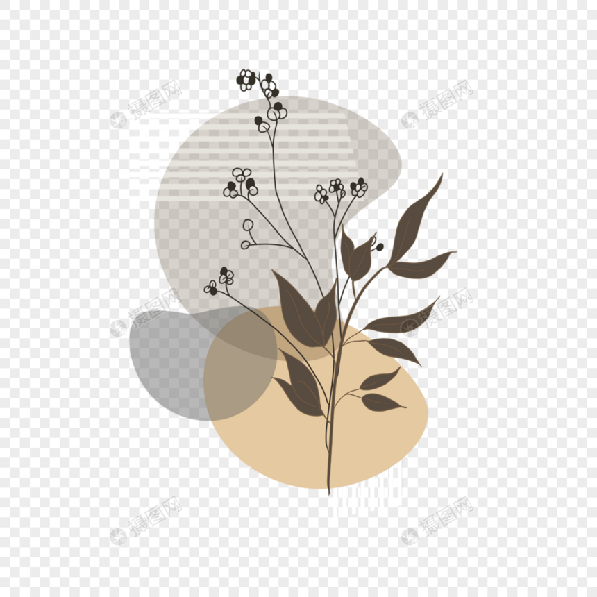 抽象几何画线植物背景图片