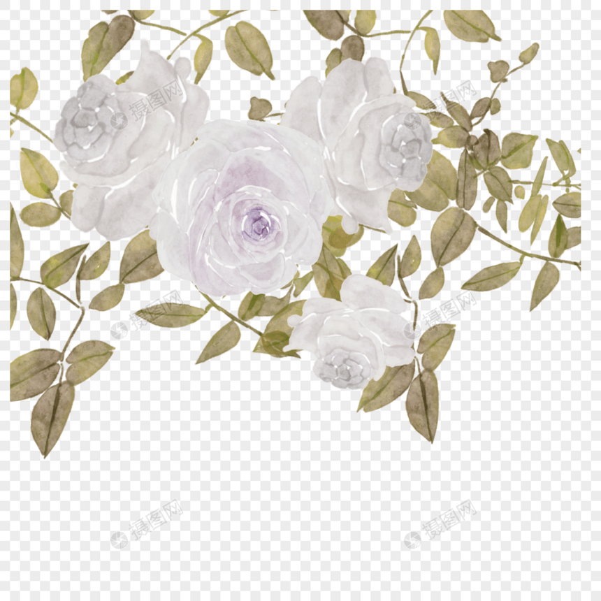 白玫瑰水彩晕染花卉婚礼图片