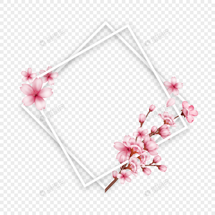 树枝春天樱花多边形边框图片