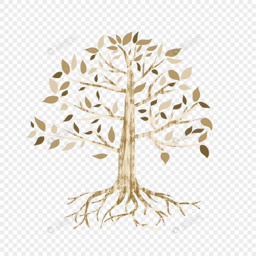 抽象树木树根大树树叶植物根系图片