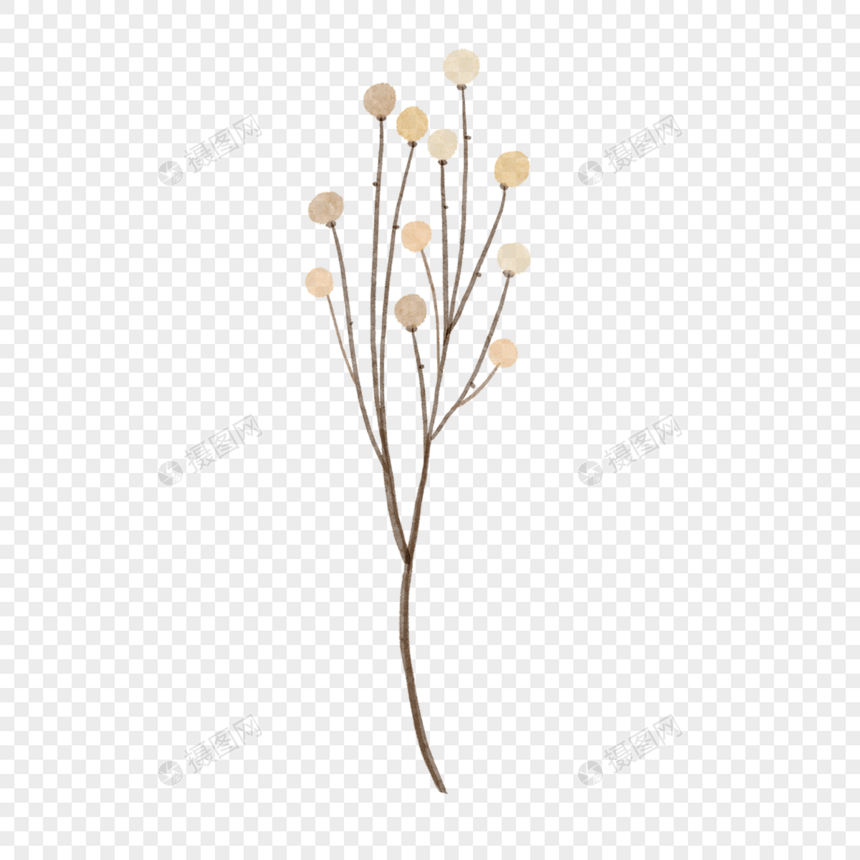 树枝上的小花朵水彩风格婚礼米色棕色图片