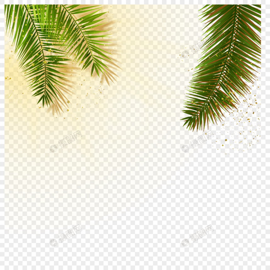 金色光点中的椰子叶图片