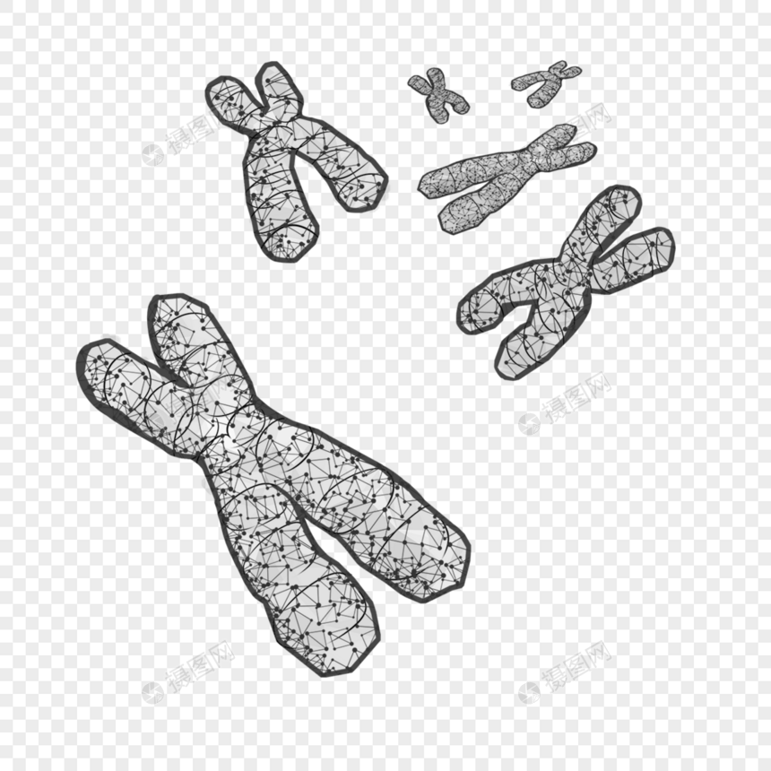 抽象多边形染色体遗传物质医学图片