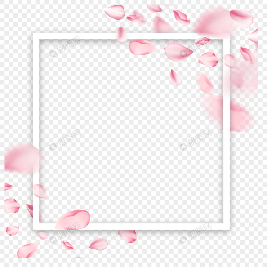 花瓣春天樱花正方形边框图片