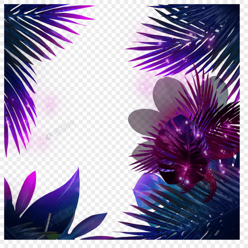 棕榈叶芭蕉叶紫色霓虹边框图片