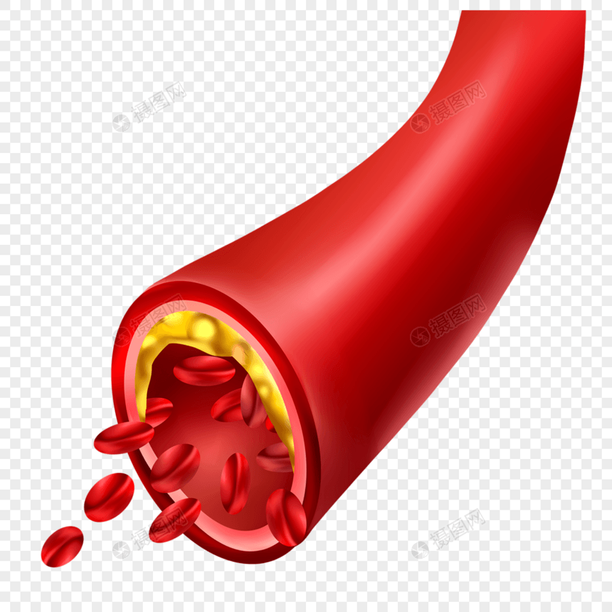 人体血管脂肪医学插图图片