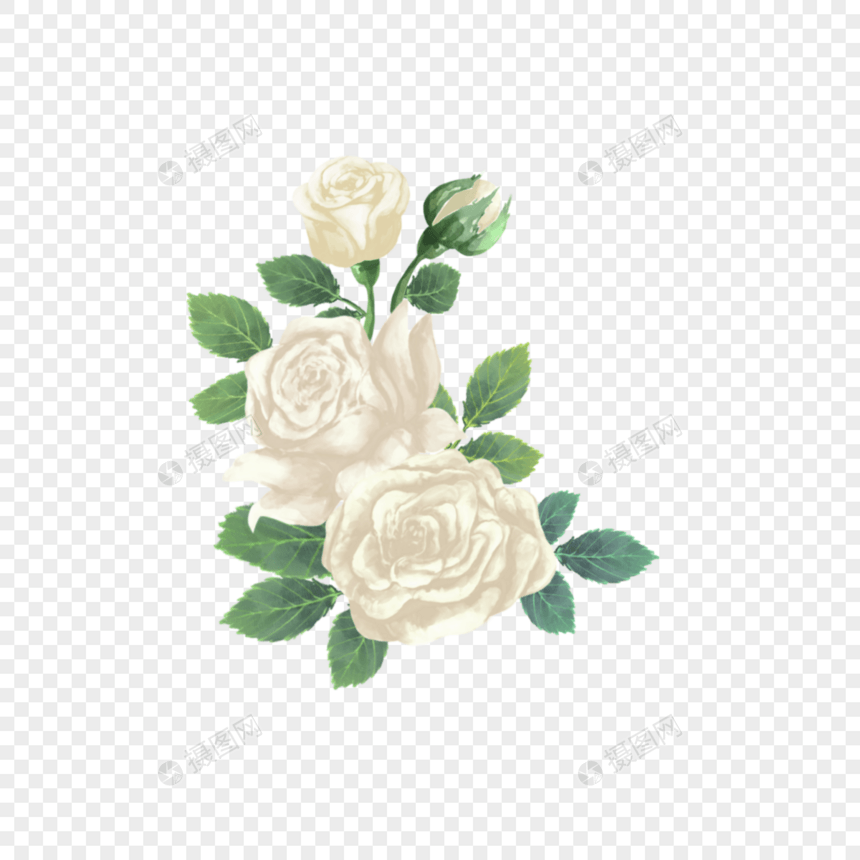 白玫瑰水彩花卉花叶图片