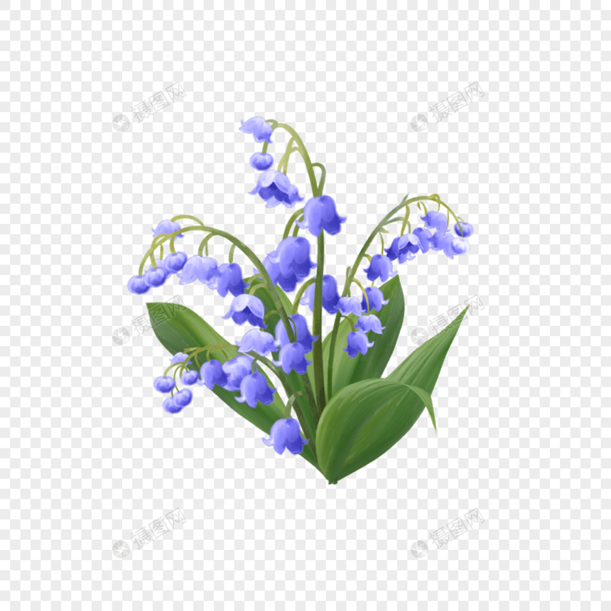 蓝色铃兰花婚礼花卉图片