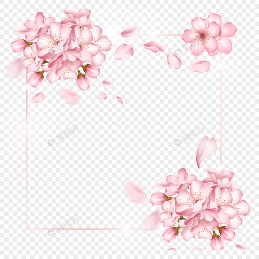 玫瑰金光效樱花边框图片