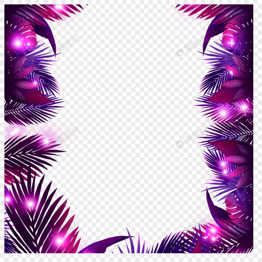 棕榈叶霓虹灯边框图片