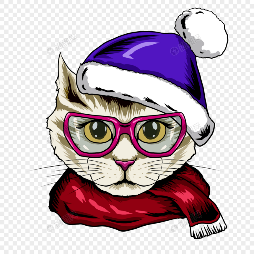 帽子围巾眼镜可爱猫咪肖像图片