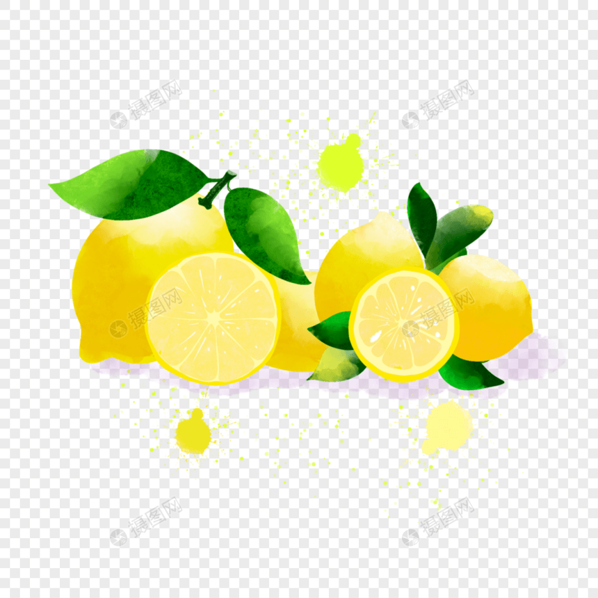 美丽的夏季水果水彩柠檬图片