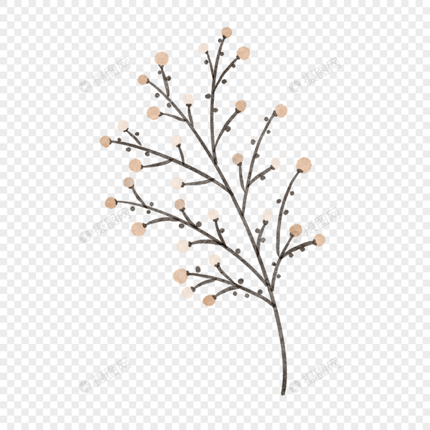 树枝上的小花水彩风格棕色图片