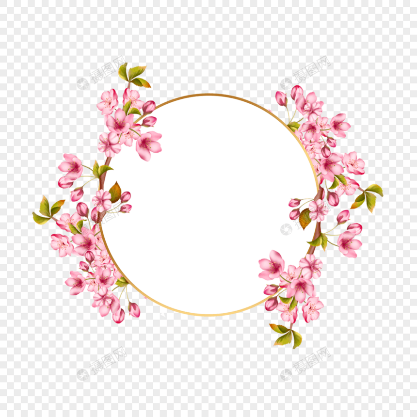 粉色樱花美丽春天开花圆形边框图片
