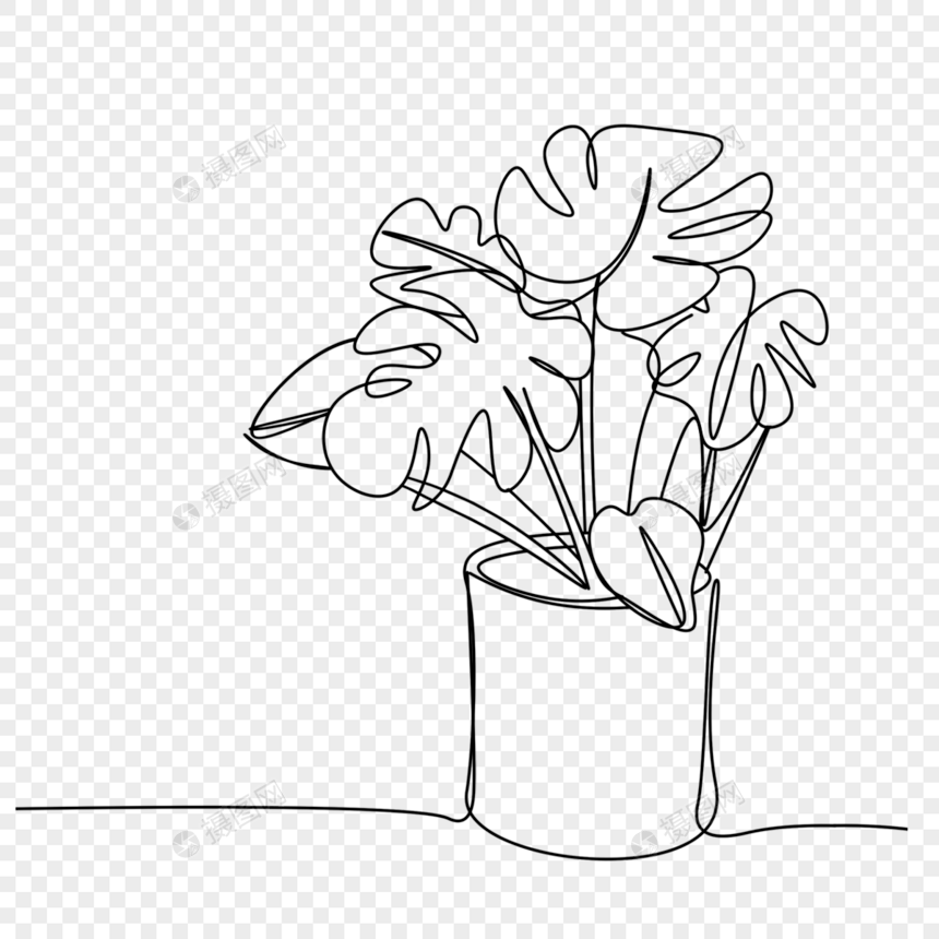 简约线条画植物龟背竹盆栽图片