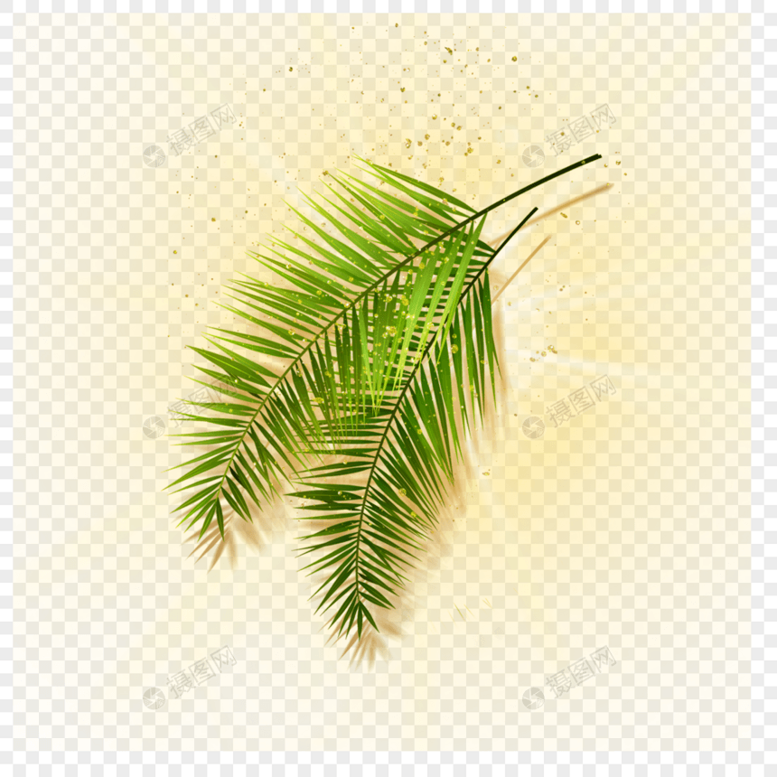 金色光点中的棕榈叶图片