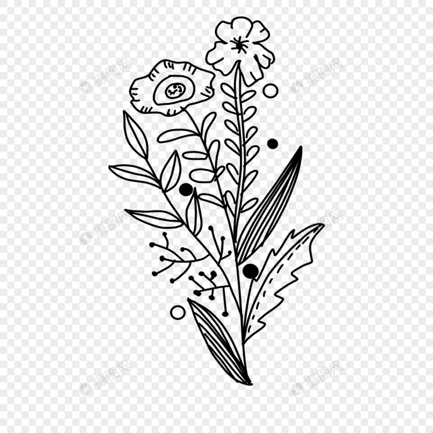 花卉花朵黑白风格线条画图片