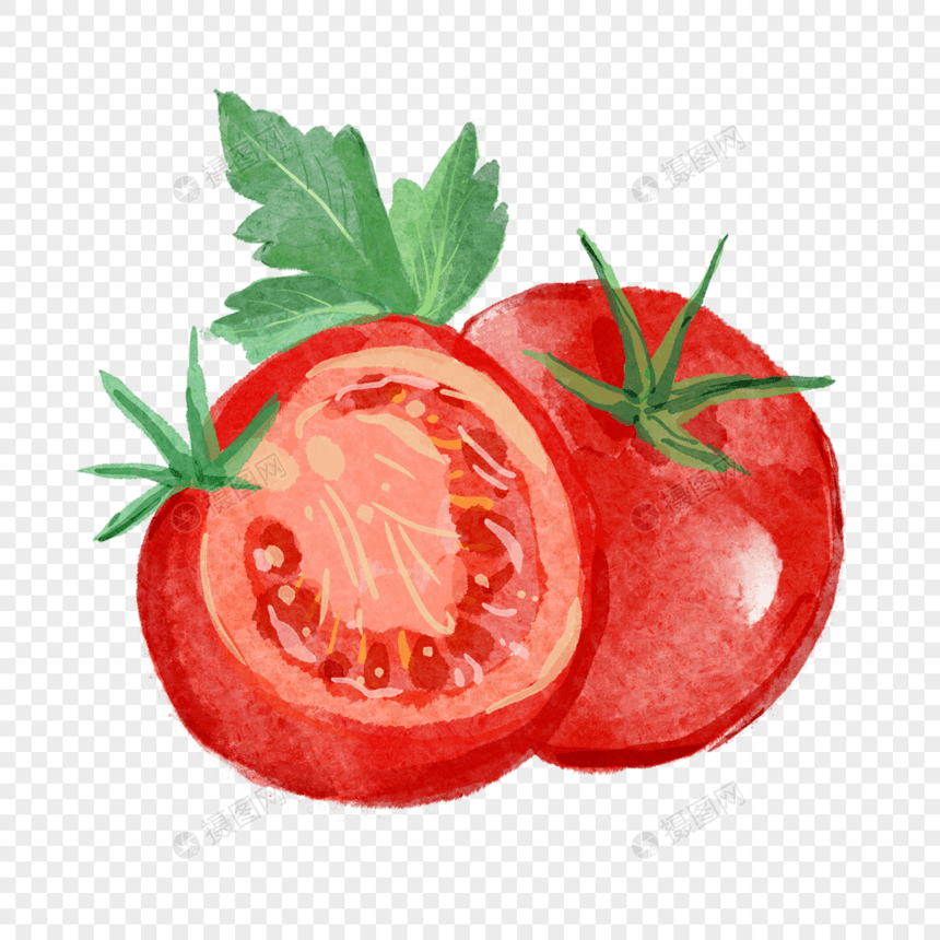 西红柿带叶子水彩蔬菜水果图片