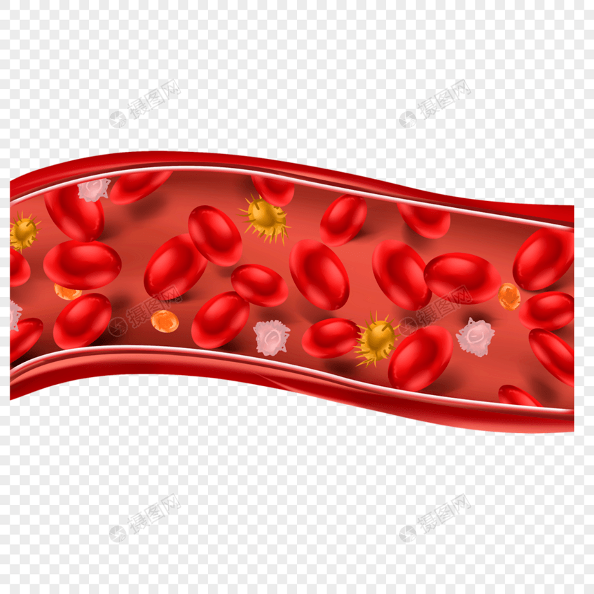 人体血管血小板医学插图图片