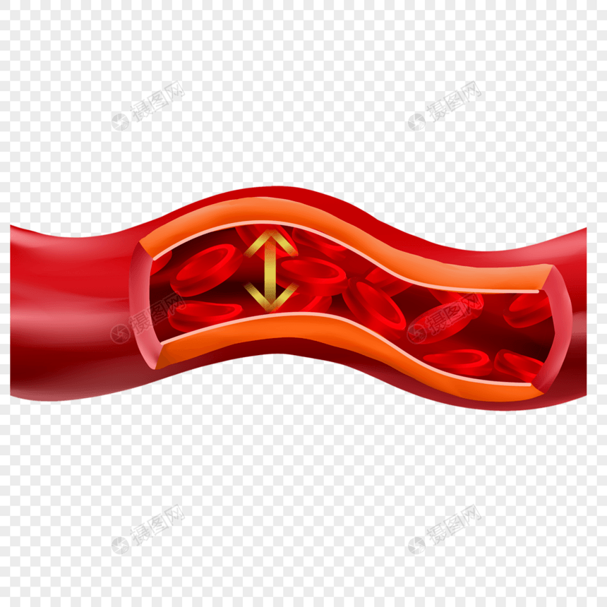 人体血管医学血压插图图片