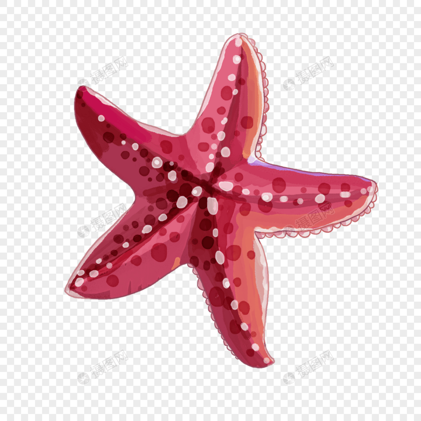 海洋生物海星水彩画图片