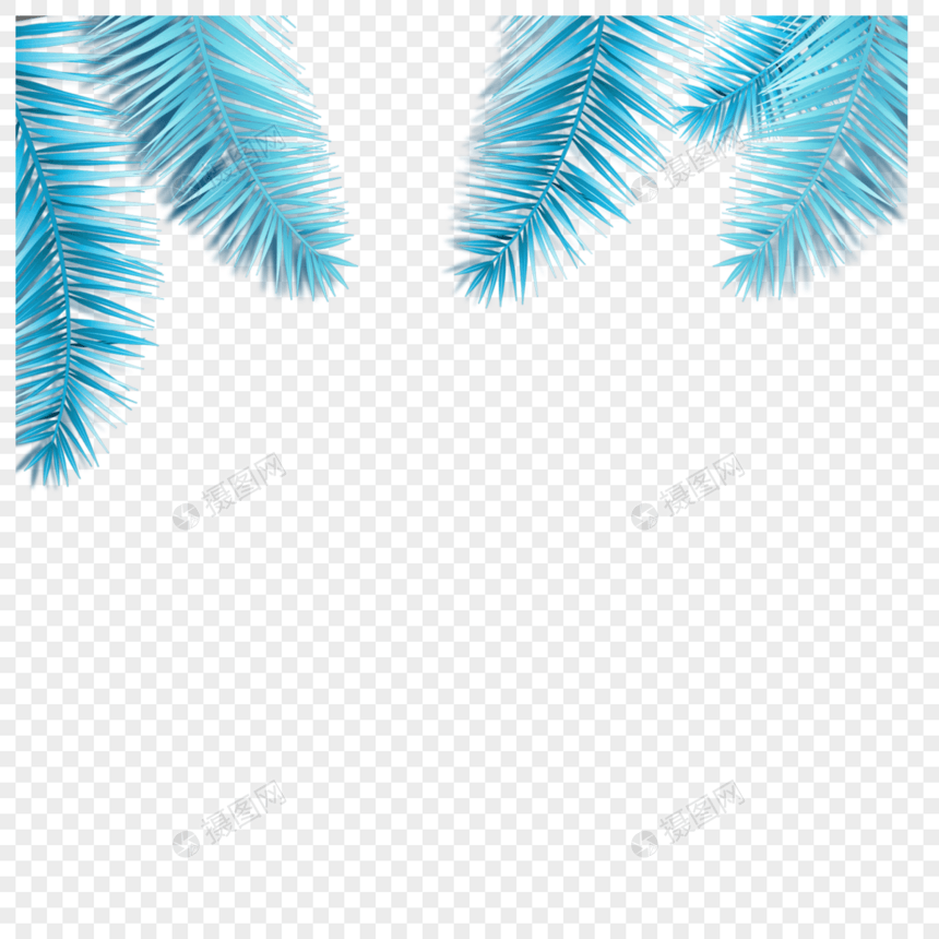 青蓝色的椰子叶图片