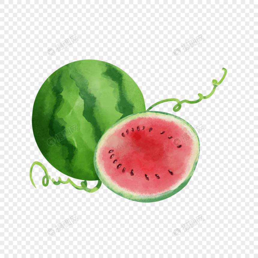 水彩夏季水果绿皮西瓜图片