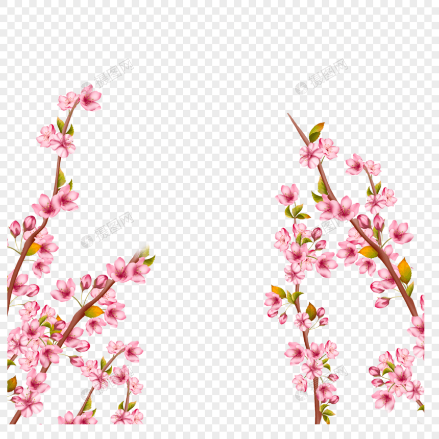 春天唯美的光效樱花枝条图片