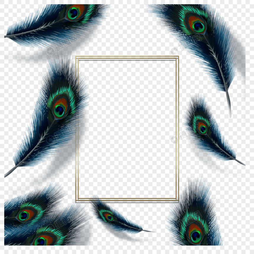 绿孔雀羽毛边框图片