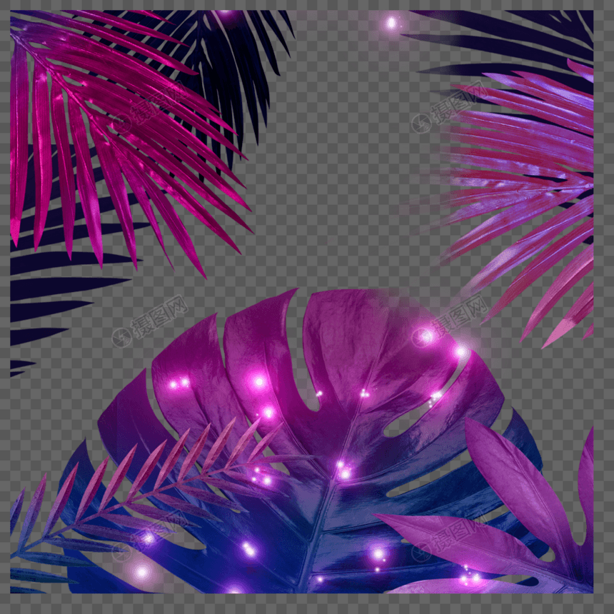 紫色霓虹植物边框图片