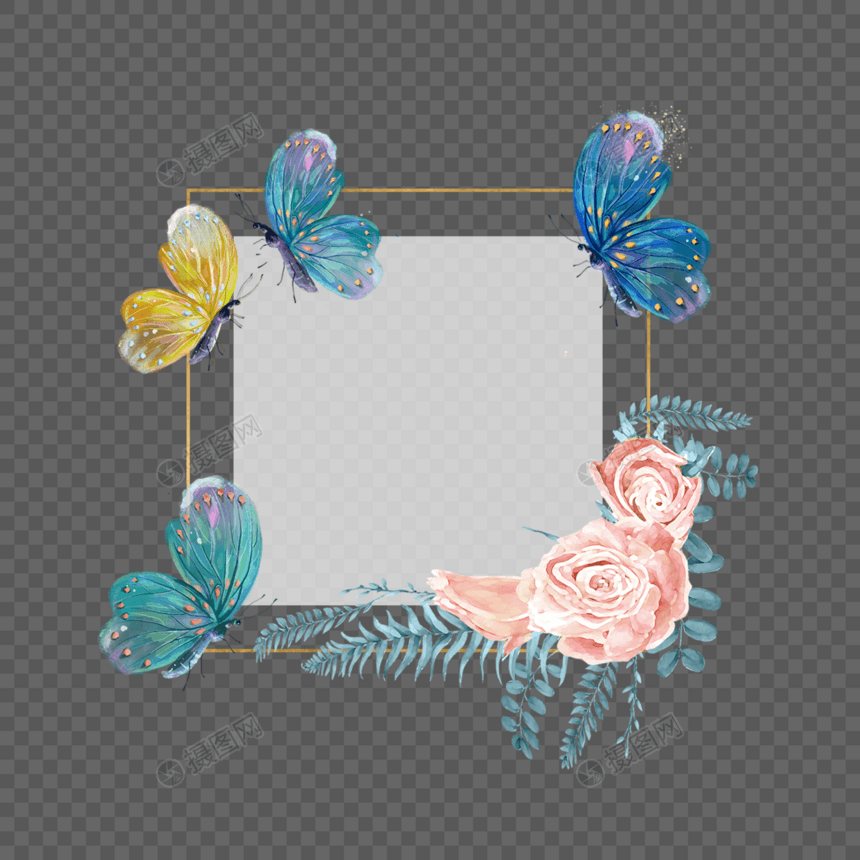 正方形蝴蝶花卉边框图片