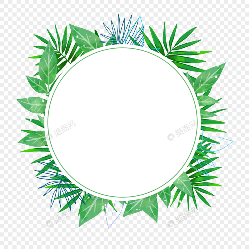 夏季热带绿色棕榈叶边框图片