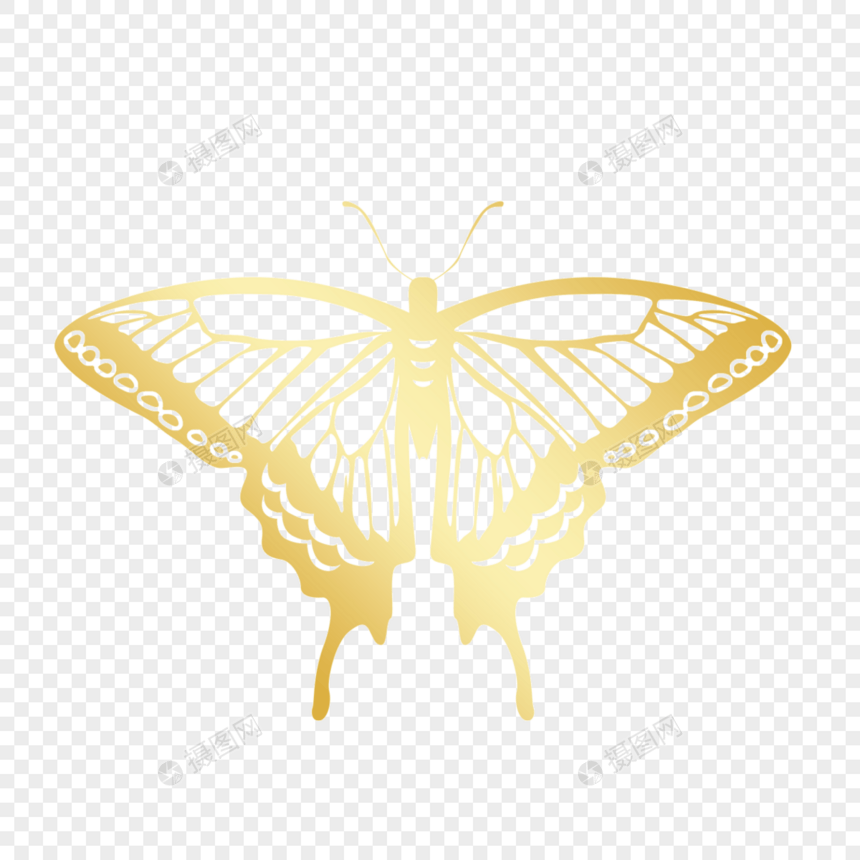 金色镂空蝴蝶线稿图片