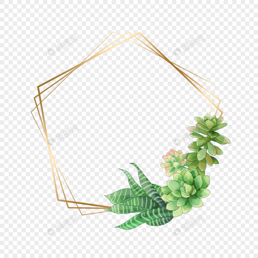 多肉边框金线水彩植物五边形图片
