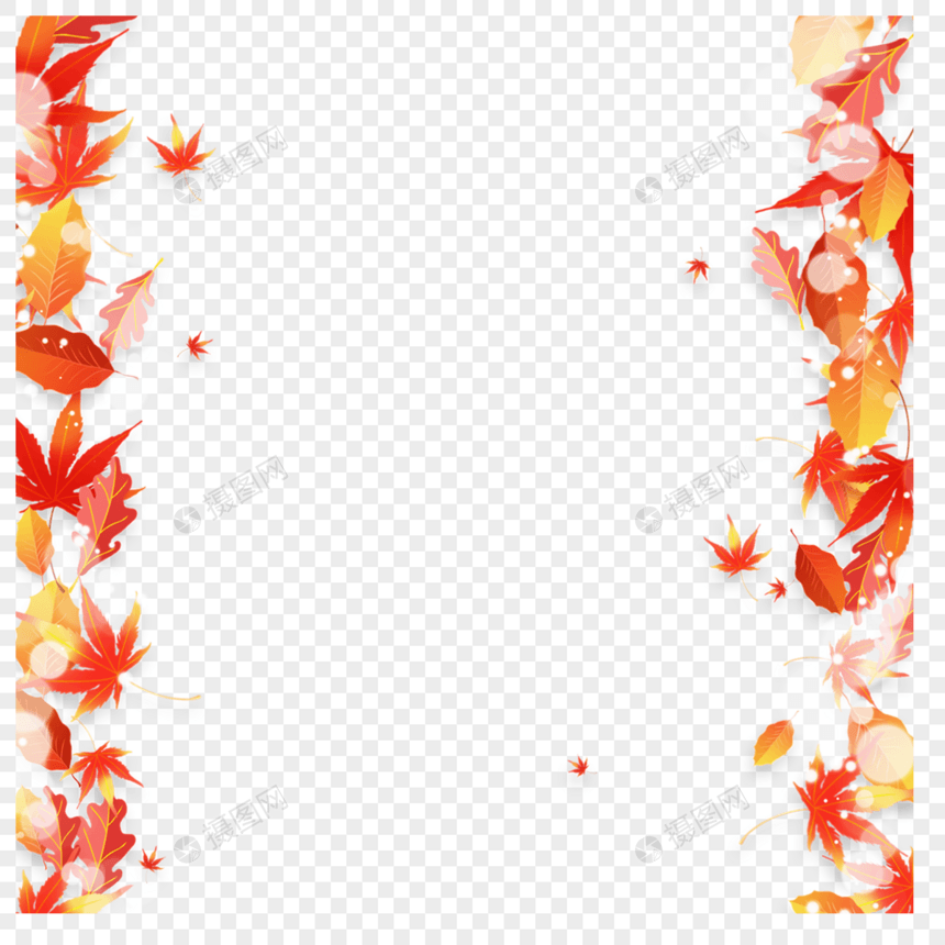 秋季光效树叶边框自然图片