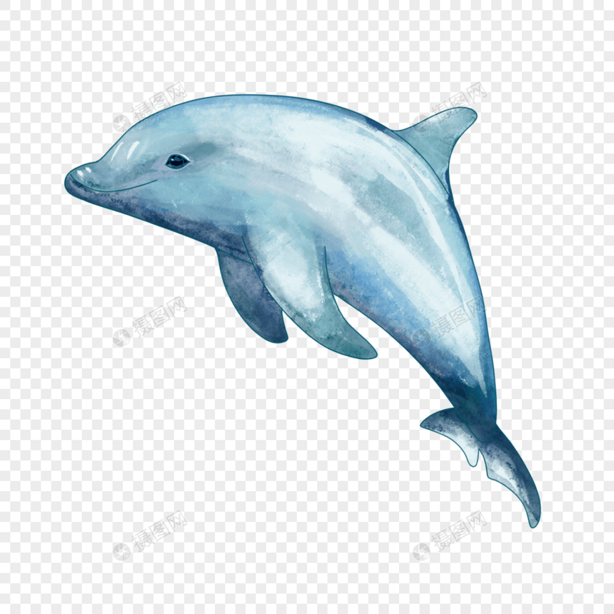 飞翔的蓝色水彩海豚图片